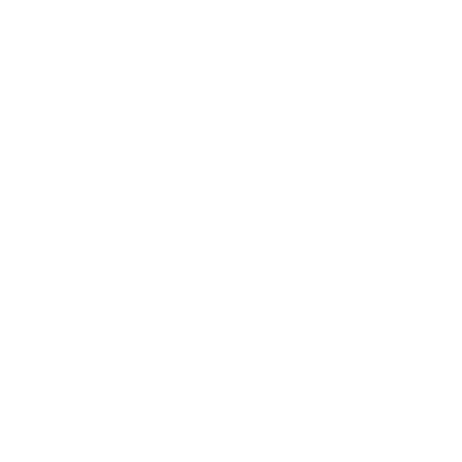 nassir-logo